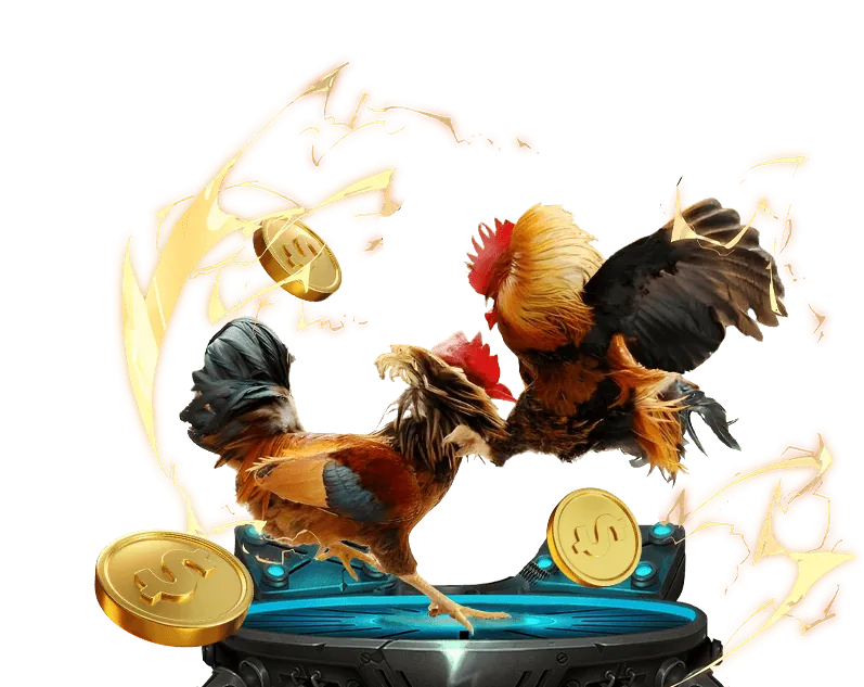 Tổng quan chương trình VIP sks99